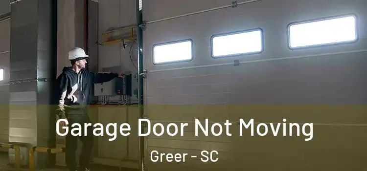  Garage Door Not Moving Greer - SC