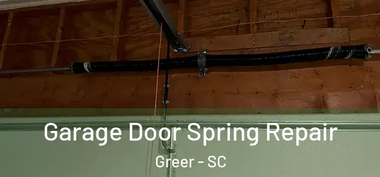  Garage Door Spring Repair Greer - SC