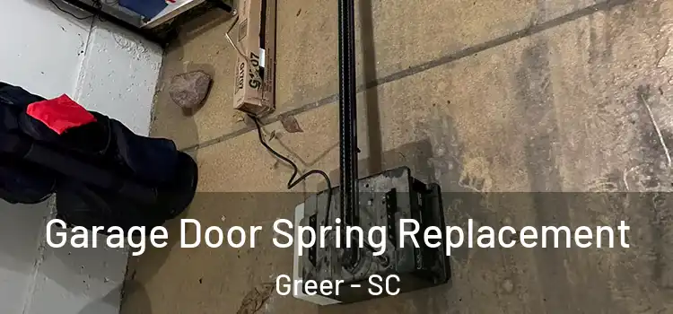  Garage Door Spring Replacement Greer - SC