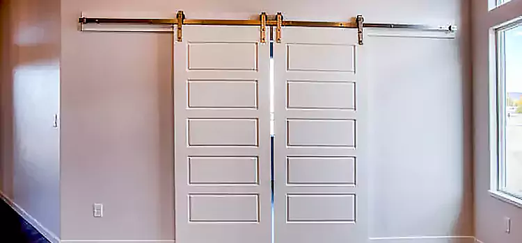 Glass Barn Door with Installation Hardware Kit Greer