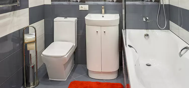Hansgrohe Shaving Mirror Greer
