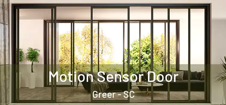  Motion Sensor Door Greer - SC
